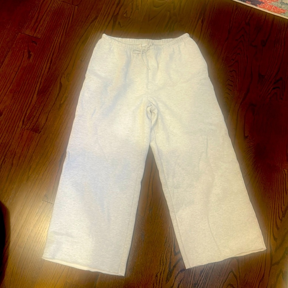 Aritzia flutter wide leg sweatpants